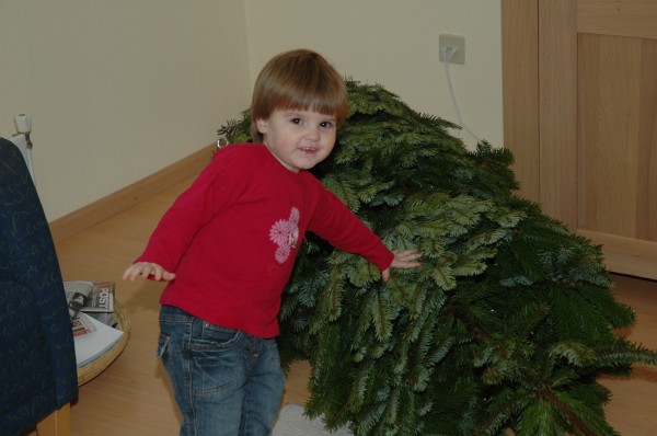 Click for the original image