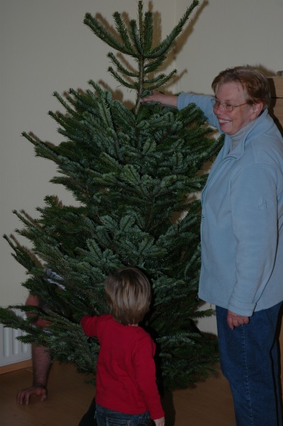 Click for the original image