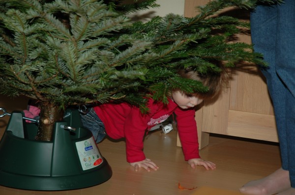 Click for the original image