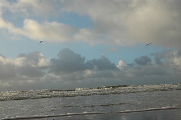 Click for the original image