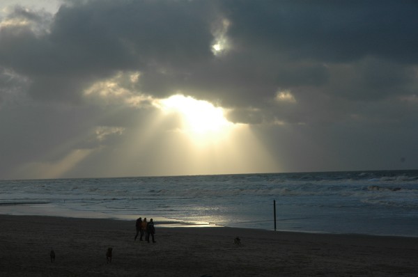 Click for the original image