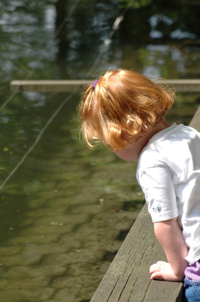 Click for the original image