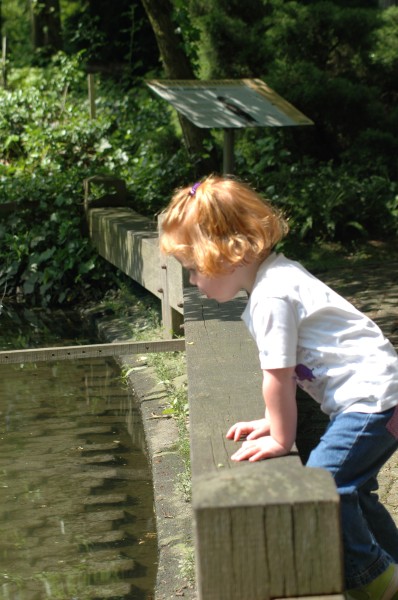 Click for the original image