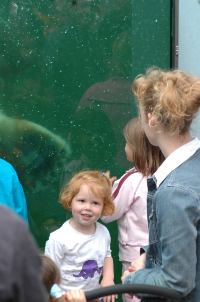 Click for the original image