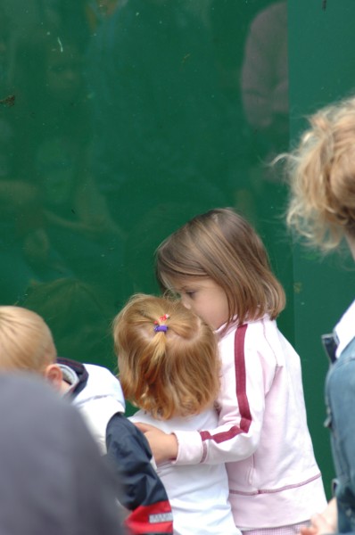 Click for the original image