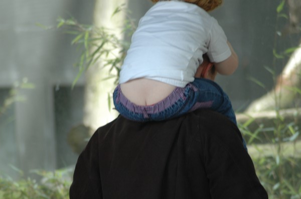 Click for the original image